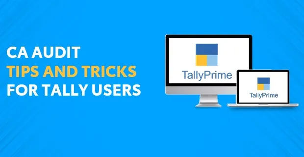 CA Audit Tips and Tricks For Tally Users 