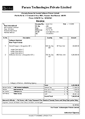 tally invoice customisation