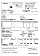 tally invoice customisation