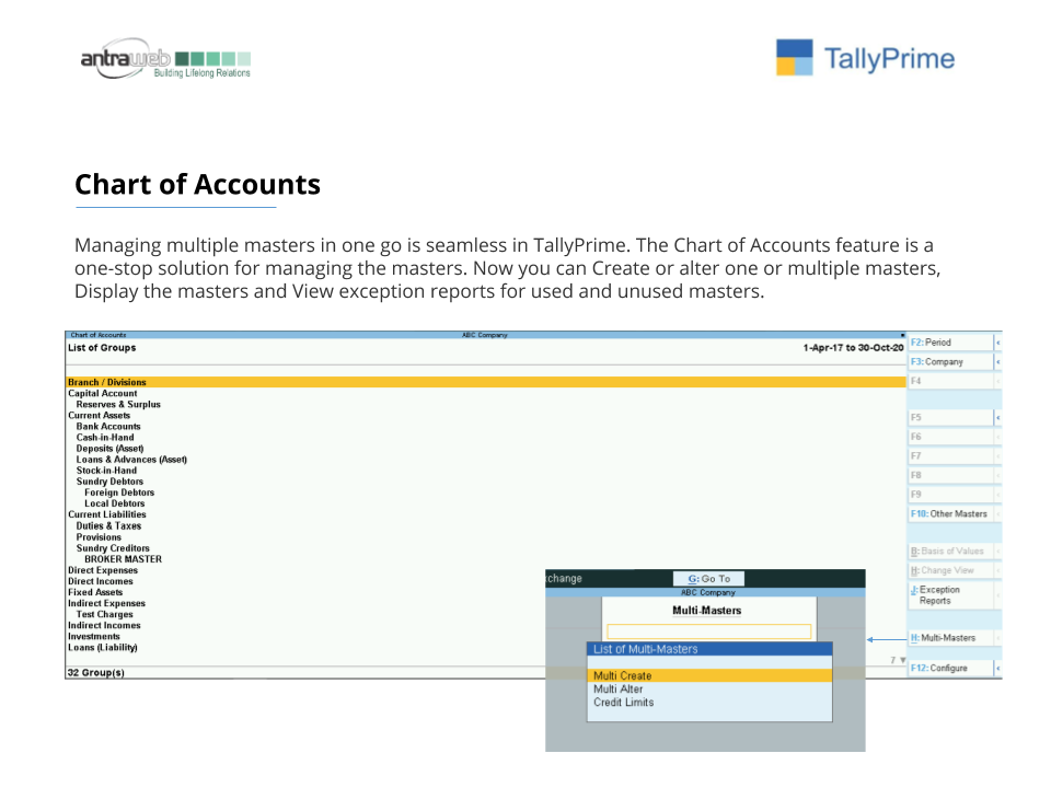 Tally Prime for Accountant