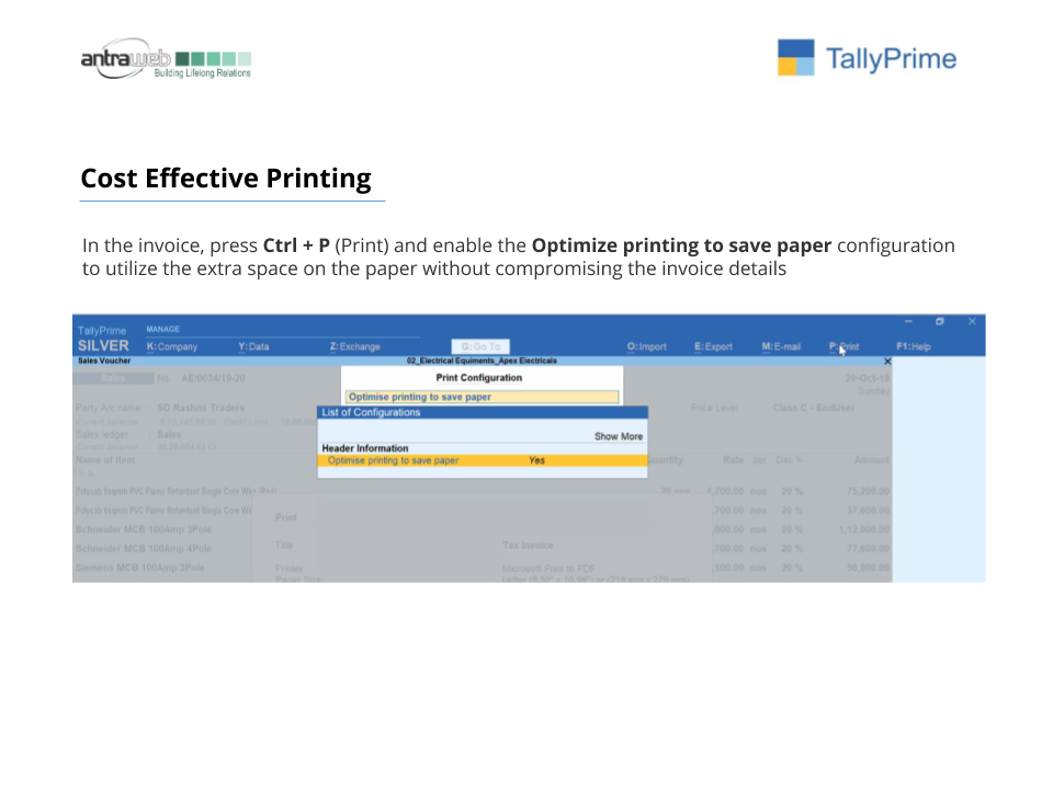 Tally Prime for Accountant