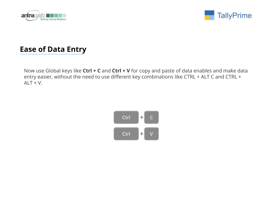 Tally Prime for Accountant