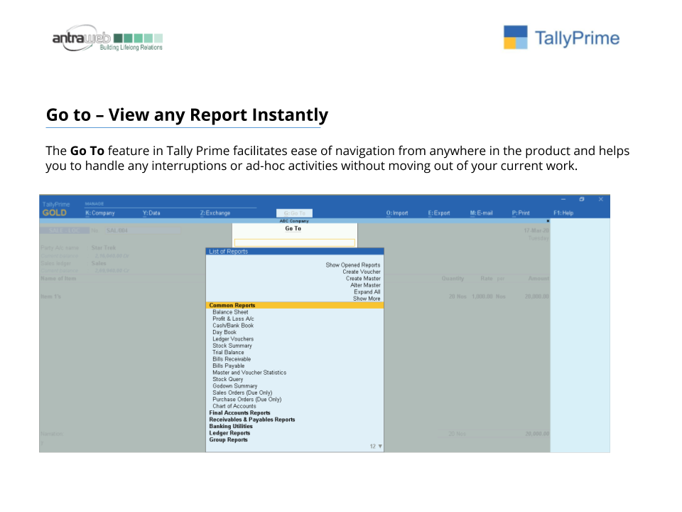 Tally Prime for owners