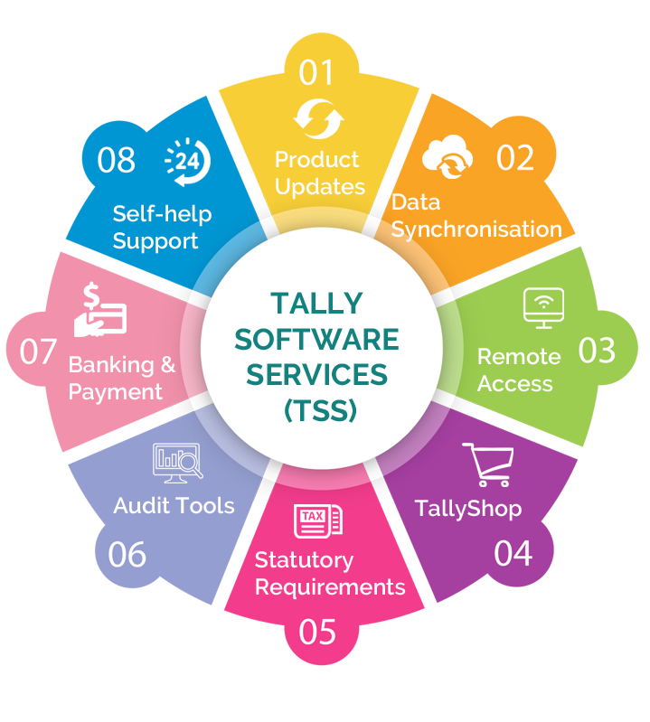 tally software services